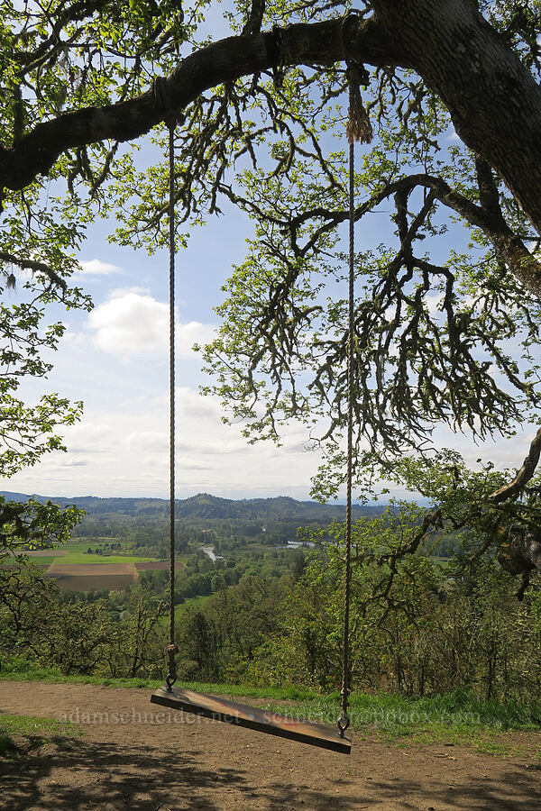 swing on top of Swing Hill [Mount Pisgah, Lane County, Oregon]