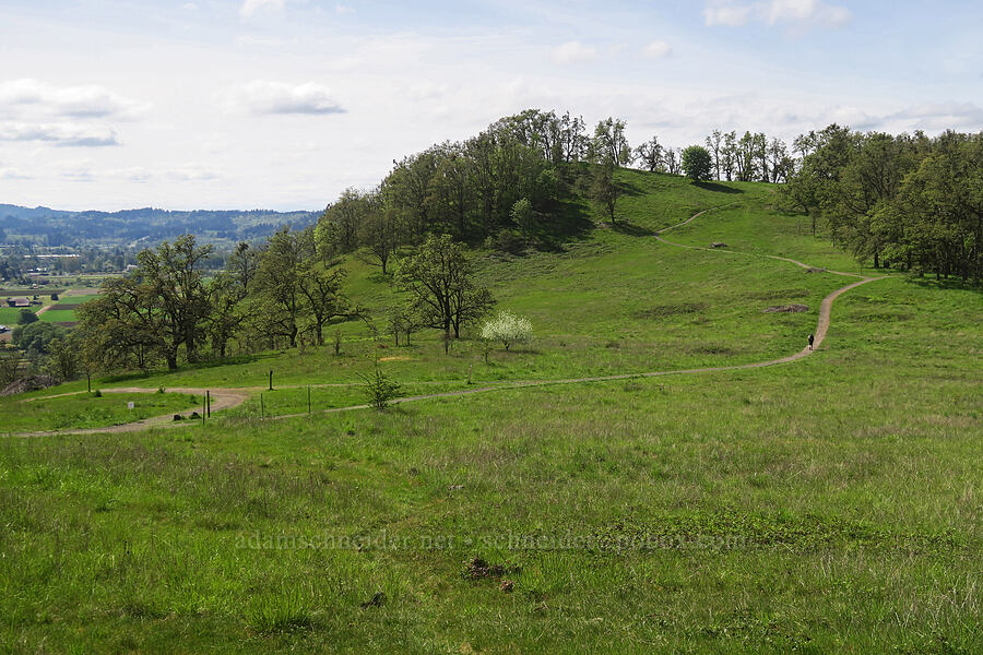 Swing Hill [Mount Pisgah, Lane County, Oregon]