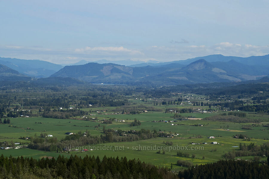 view toward Diamond Peak [Mount Pisgah, Lane County, Oregon]