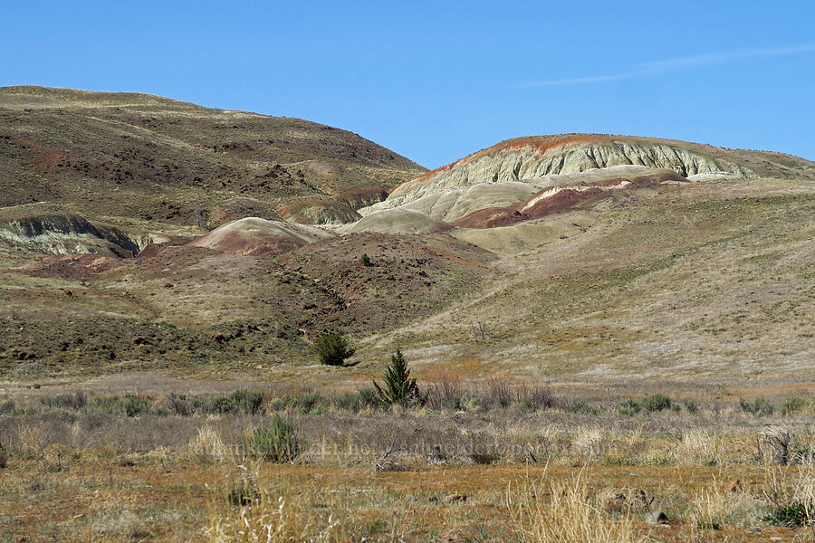 painted hills [north of Clarno, Wasco County, Oregon]