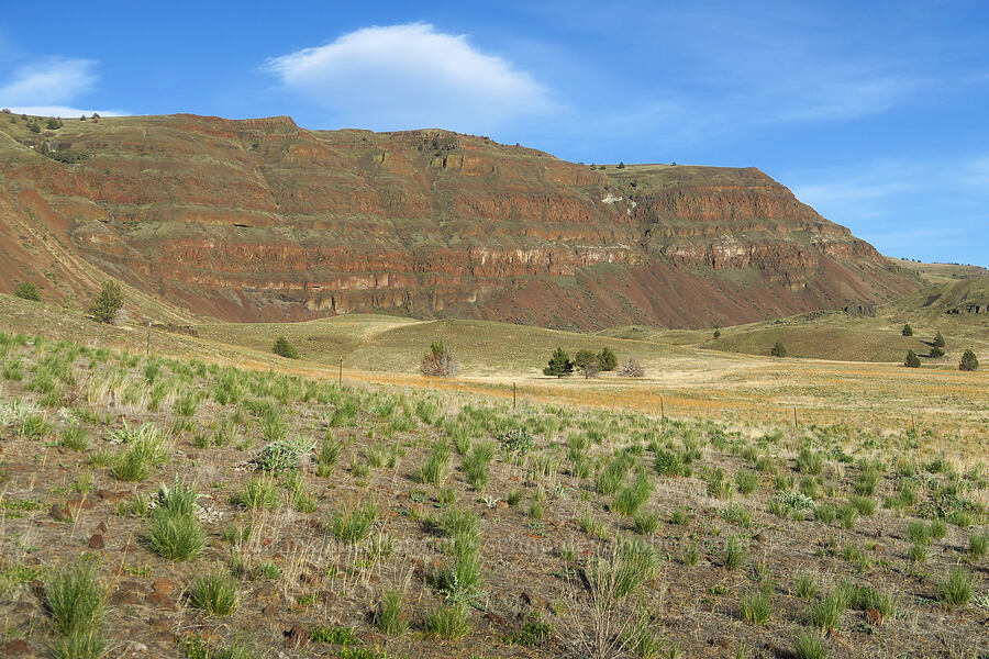 valley wall [BLM Criterion Tract, Wasco County, Oregon]