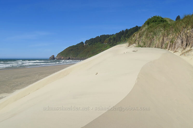 dunes [Baker Beach, Siuslaw National Forest, Lane County, Oregon]