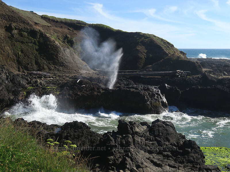 Spouting Horn & Cook's Chasm [Captain Cook Trail, Siuslaw National Forest, Lincoln County, Oregon]