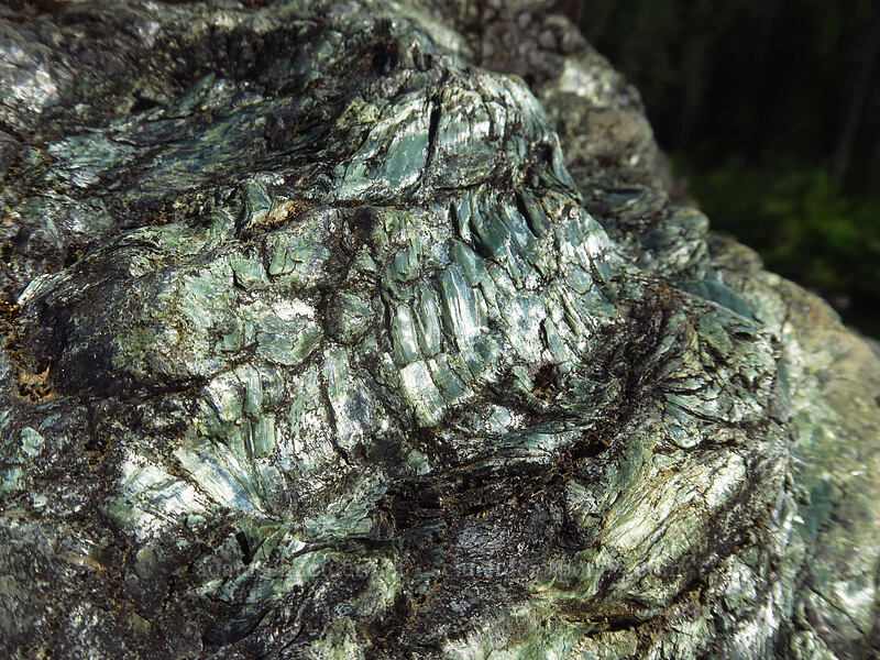 serpentinite [Little Falls Loop Trail, Rogue River-Siskiyou National Forest, Josephine County, Oregon]