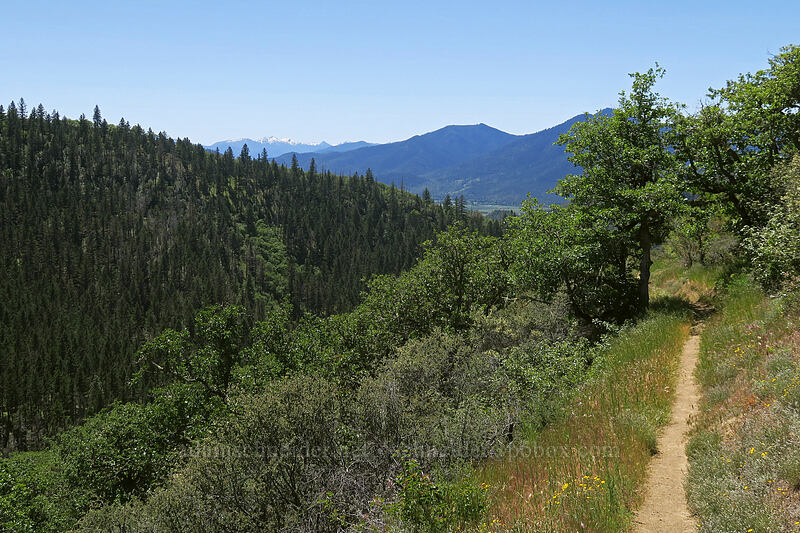 the trail [East Applegate Ridge Trail, Jackson County, Oregon]