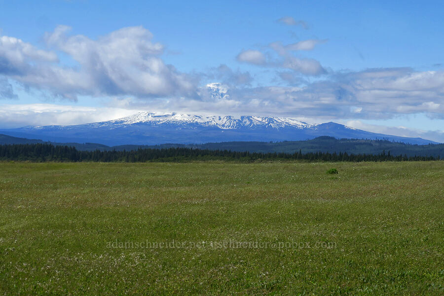 Mount Adams, half-hidden by clouds [Soda Springs Wildlife Area, Klickitat County, Washington]