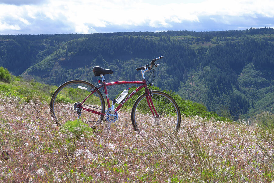 my bike [Soda Springs Wildlife Area, Klickitat County, Washington]