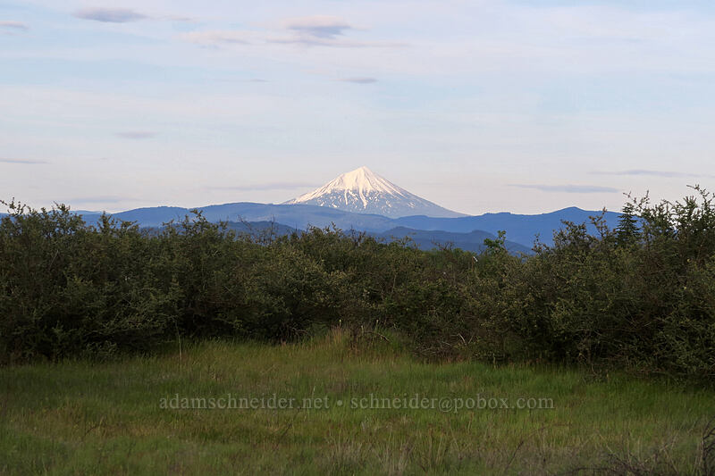 Mount McLoughlin [Whetstone Savanna Preserve, Jackson County, Oregon]