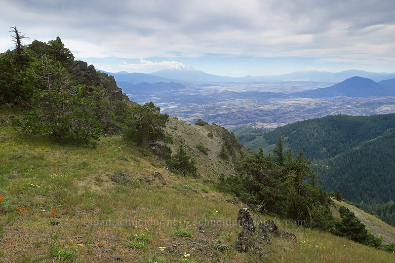 Boccard Point & Mount Shasta [Boccard Point Trail, Soda Mountain Wilderness, Jackson County, Oregon]
