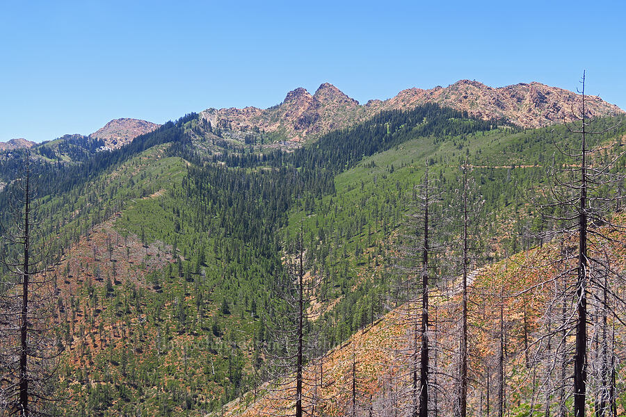Red Butte [Pacific Crest Trail, Klamath National Forest, Siskiyou County, California]