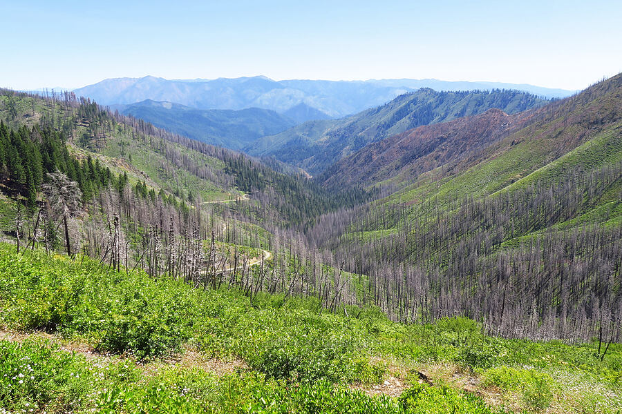 Seiad Creek Valley [Pacific Crest Trail, Klamath National Forest, Siskiyou County, California]