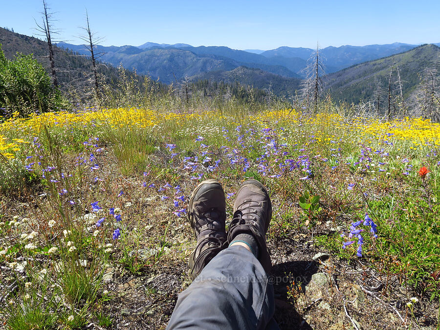 Adam's feet [Pacific Crest Trail, Klamath National Forest, Siskiyou County, California]