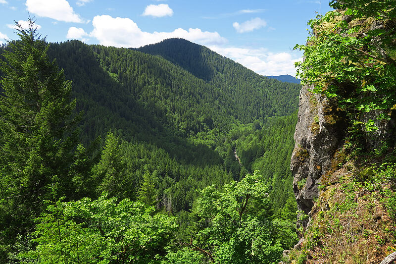 cliffs & the Wilson River Valley [Elk Mountain Trail, Tillamook State Forest, Tillamook County, Oregon]