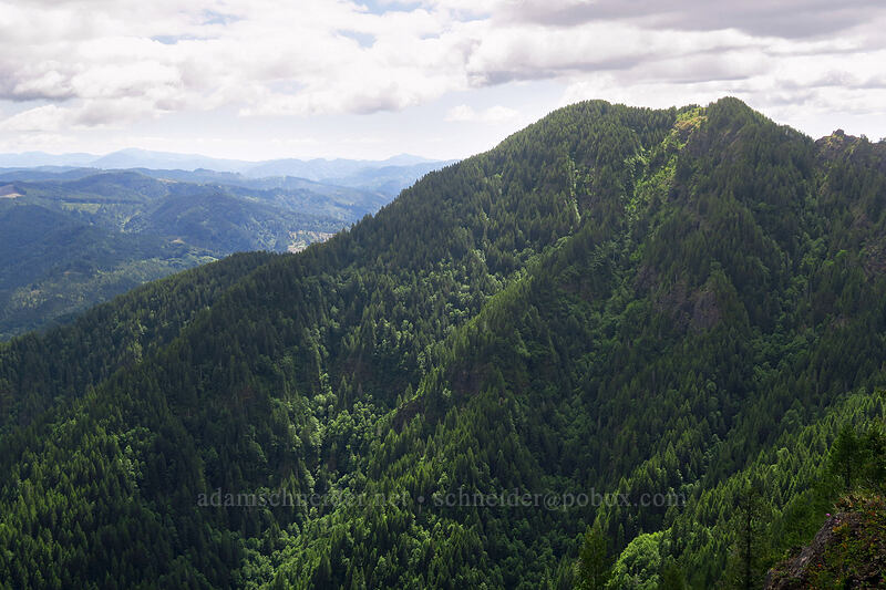 Kings Mountain [Elk Mountain Trail, Tillamook State Forest, Tillamook County, Oregon]