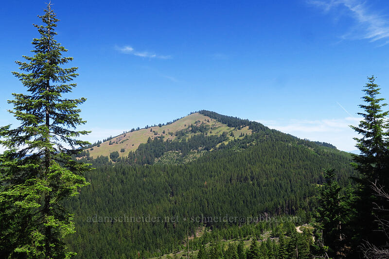 Bald Mountain [Forest Road 22, Rogue River-Siskiyou National Forest, Jackson County, Oregon]