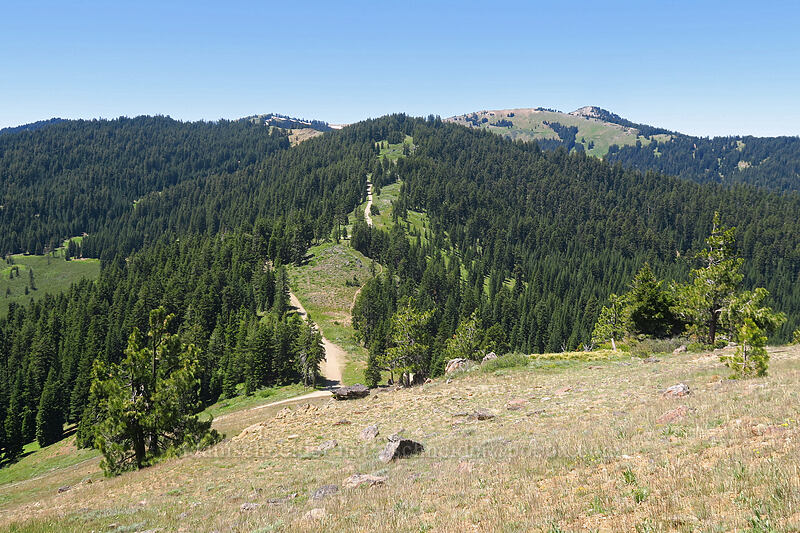 Siskiyou Crest [Big Red Mountain, Klamath National Forest, Jackson County, Oregon]