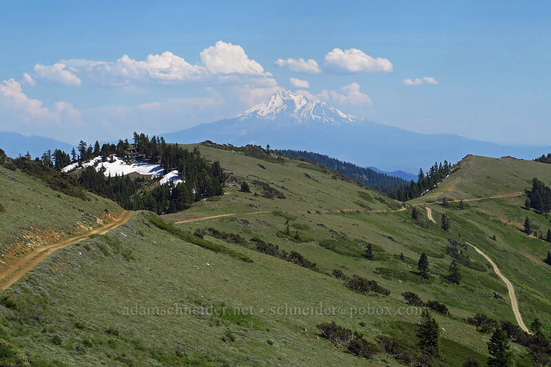 Mount Shasta [Dutchman Peak, Rogue River-Siskiyou National Forest, Jackson County, Oregon]