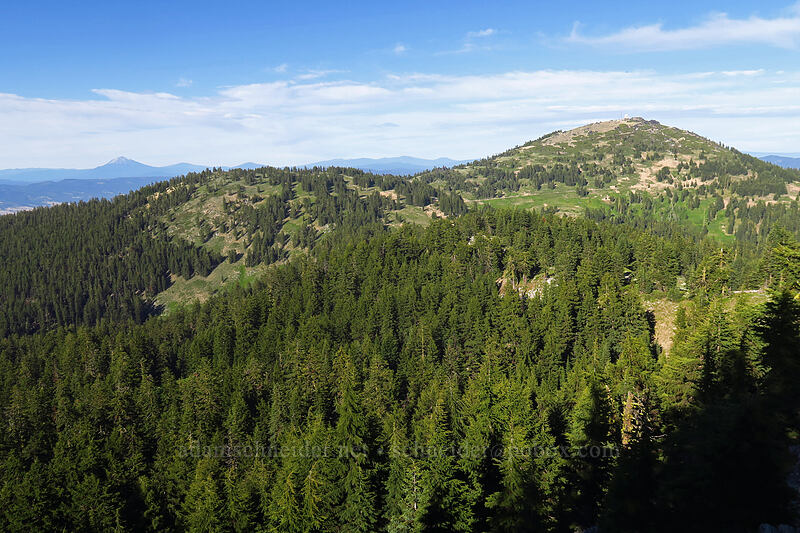 Mount Ashland [Split Rock Trail, Rogue River-Siskiyou National Forest, Jackson County, Oregon]