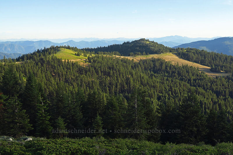 Siskiyou Peak [McDonald Peak, Rogue River-Siskiyou National Forest, Jackson County, Oregon]