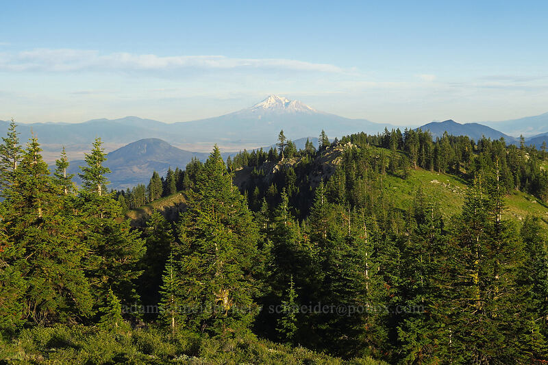 view toward Mount Shasta [McDonald Peak, Rogue River-Siskiyou National Forest, Jackson County, Oregon]