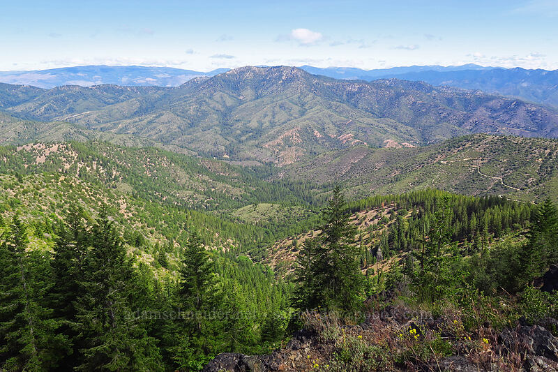 Craggy Mountain [Gunsight-Humbug Ridge, Klamath National Forest, Siskiyou County, California]