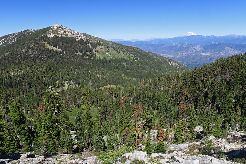 Etna Mountain & Mount Shasta [Pacific Crest Trail, Klamath National Forest, Siskiyou County, California]