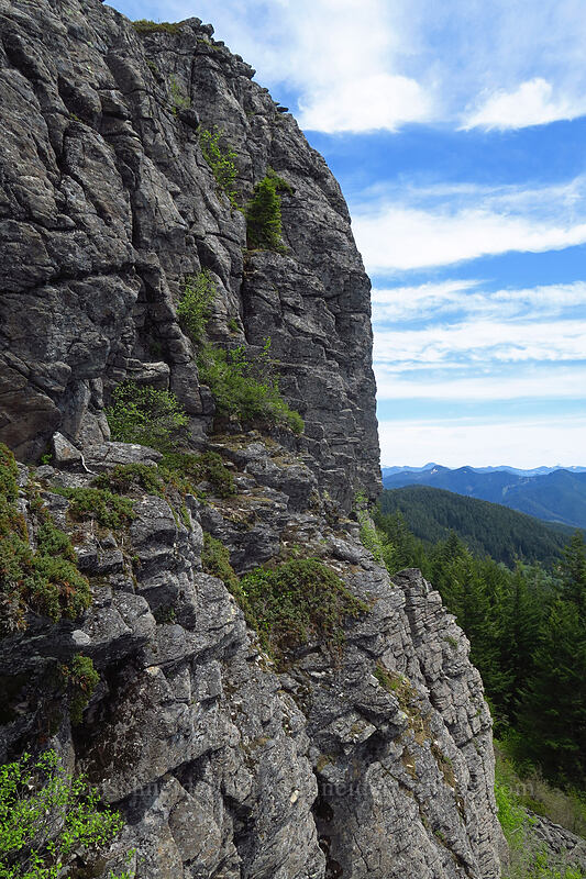 edge of Rooster Rock [Rooster Rock, Table Rock Wilderness, Clackamas County, Oregon]