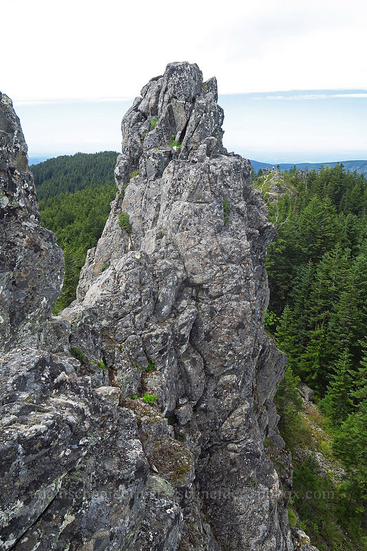 pinnacles on Rooster Rock [Rooster Rock, Table Rock Wilderness, Clackamas County, Oregon]
