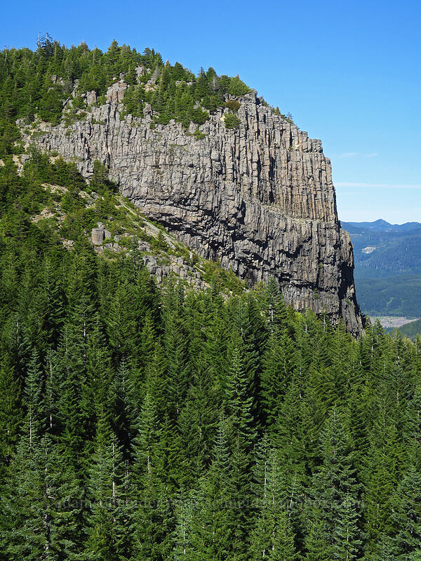 Table Rock [Saddle Trail, Table Rock Wilderness, Clackamas County, Oregon]
