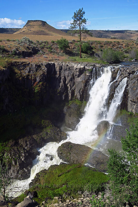 White River Falls [White River Falls State Park, Wasco County, Oregon]