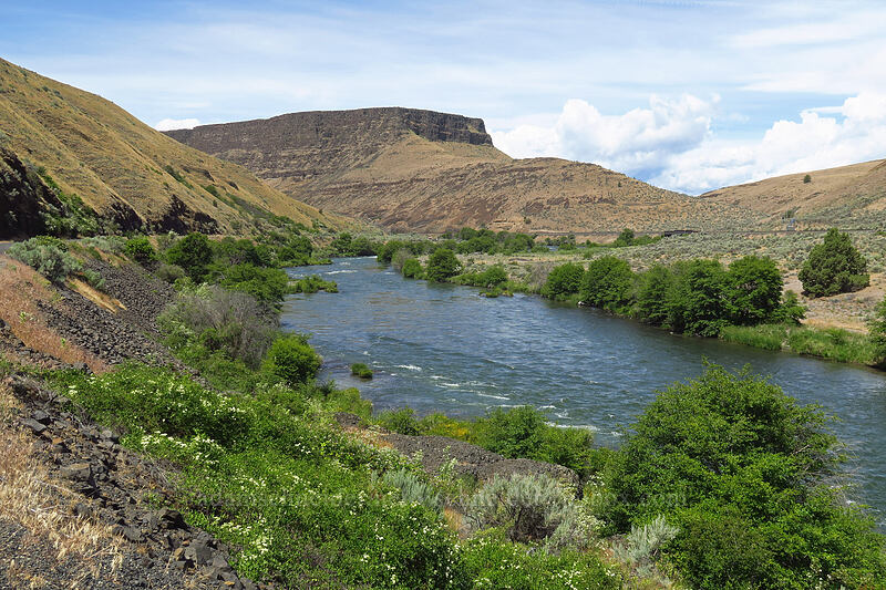 Deschutes River [White River Recreation Area, Wasco County, Oregon]