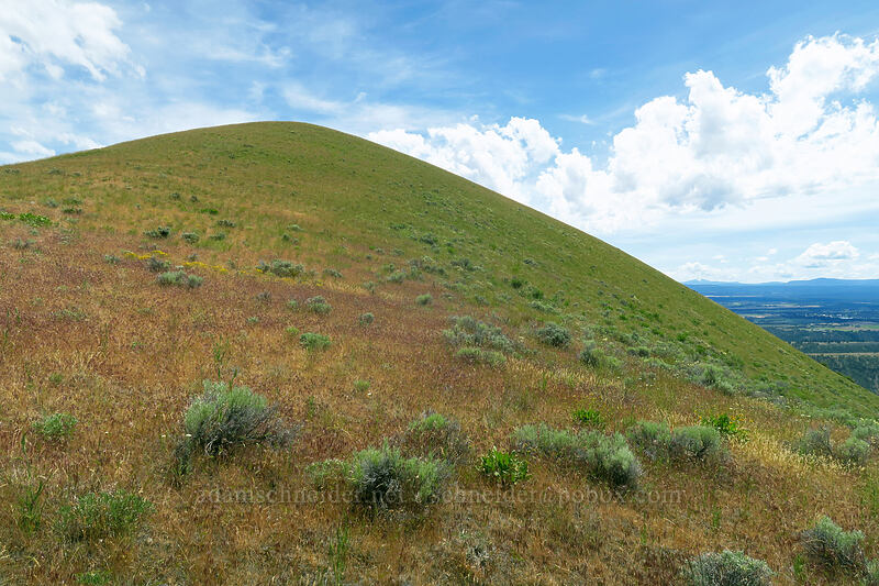 Postage Stamp Butte's summit [Postage Stamp Butte, Wasco County, Oregon]