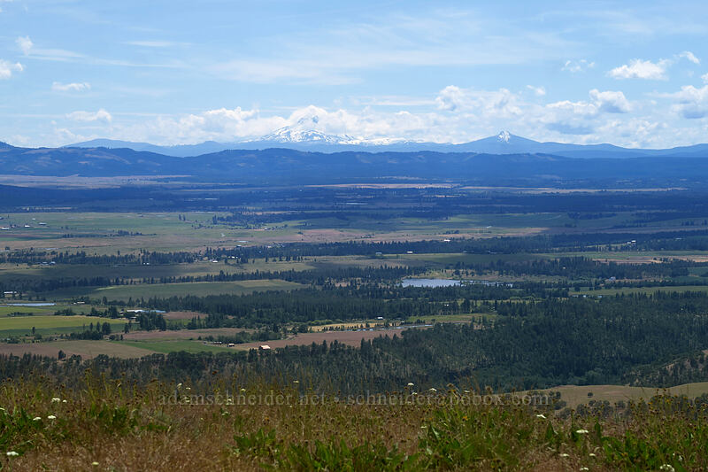 Mount Jefferson & Tygh Valley [Postage Stamp Butte, Wasco County, Oregon]