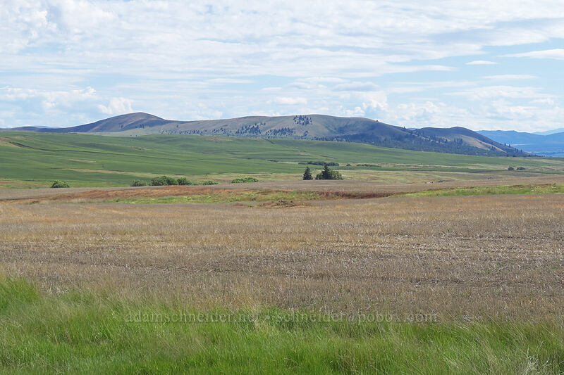 Postage Stamp Butte [Friend Road, Wasco County, Oregon]