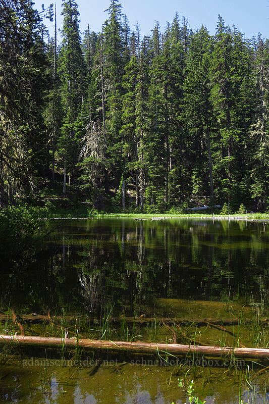 Spinning Lake [Boulder Lake Trail, Mt. Hood National Forest, Wasco County, Oregon]