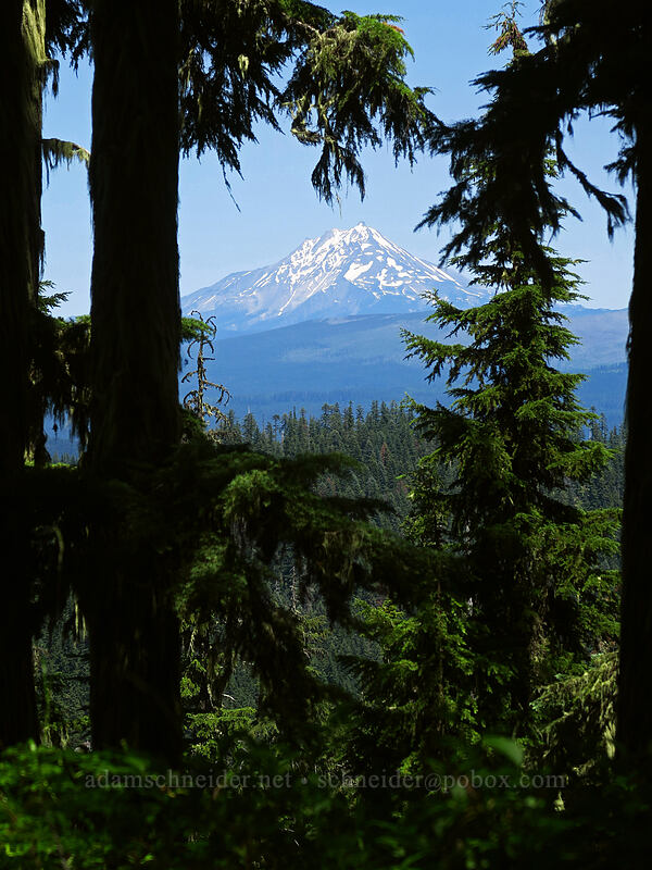 Mt. Jefferson [Gate Creek Trail, Willamette National Forest, Linn County, Oregon]