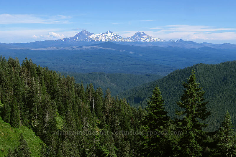 Three Sisters [Browder Ridge Trail, Willamette National Forest, Linn County, Oregon]