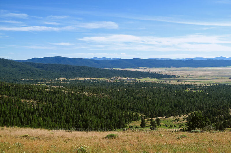 Fox Valley [Forest Road 3940, Malheur National Forest, Grant County, Oregon]