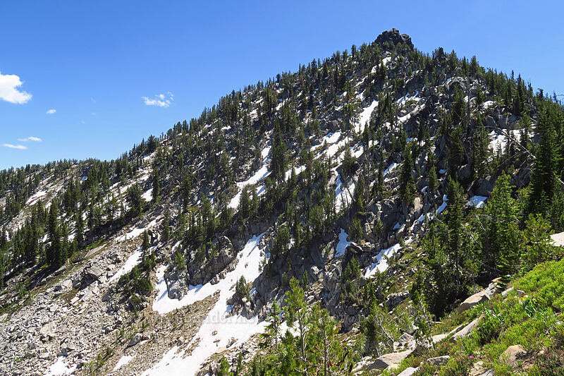 Peak 8538 [Elkhorn Crest Trail, Wallowa-Whitman National Forest, Baker County, Oregon]