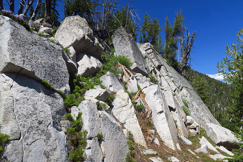 granite slabs [Elkhorn Crest Trail, North Fork John Day Wilderness, Grant County, Oregon]