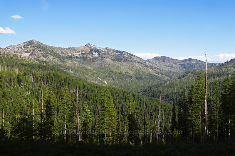 middle of the Elkhorn Crest [Forest Road 73, Wallowa-Whitman National Forest, Grant County, Oregon]