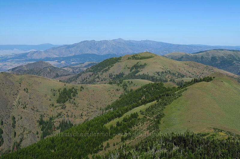 McClellan Mountain & the Strawberry Mountains [Fields Peak, Malheur National Forest, Grant County, Oregon]
