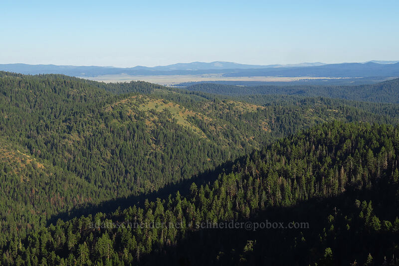 view to the southeast (Bear Valley) [Fields Peak Trail, Malheur National Forest, Grant County, Oregon]