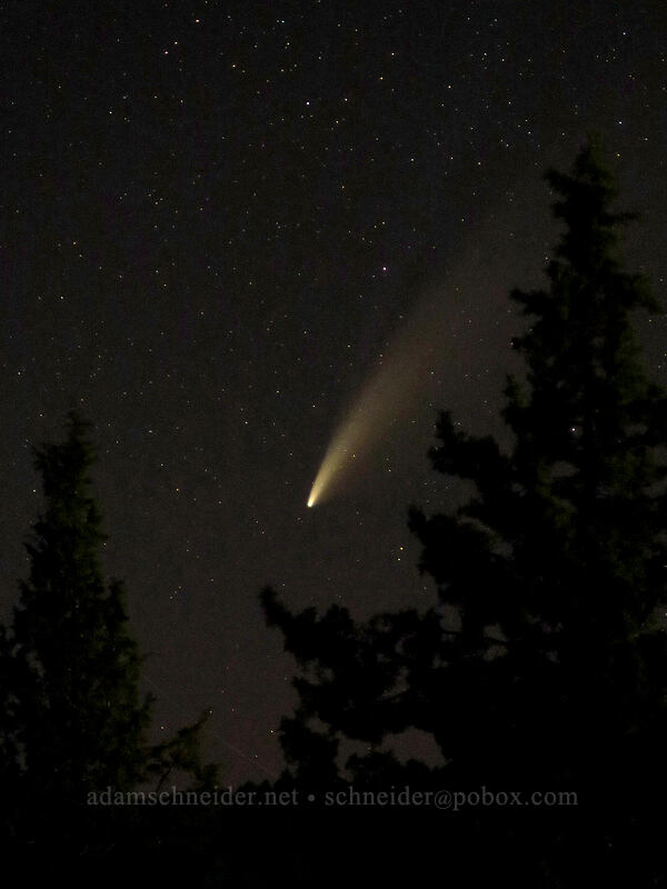 Comet NEOWISE [La Costa Road, John Day, Grant County, Oregon]