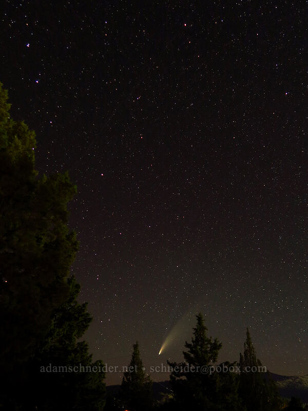 Comet NEOWISE [La Costa Road, John Day, Grant County, Oregon]