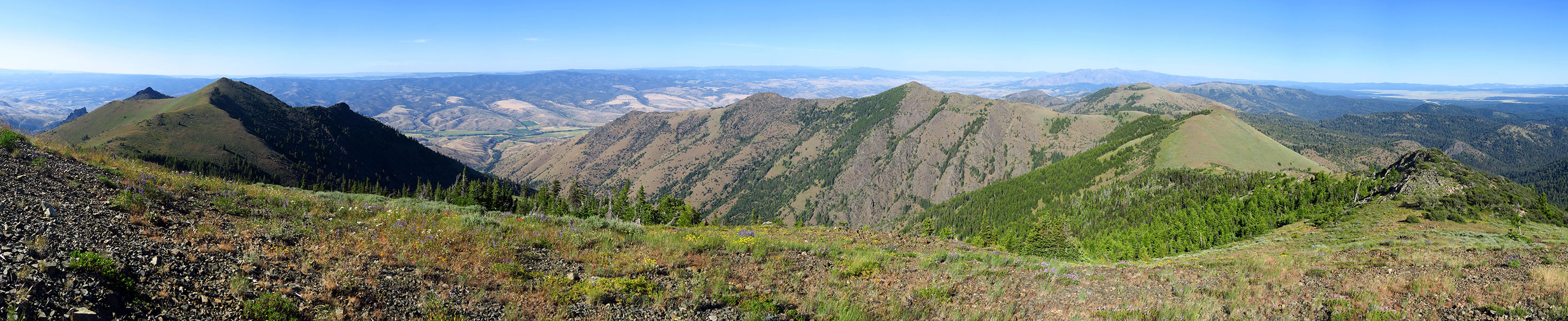 Fields Peak panorama [Fields Peak, Malheur National Forest, Grant County, Oregon]