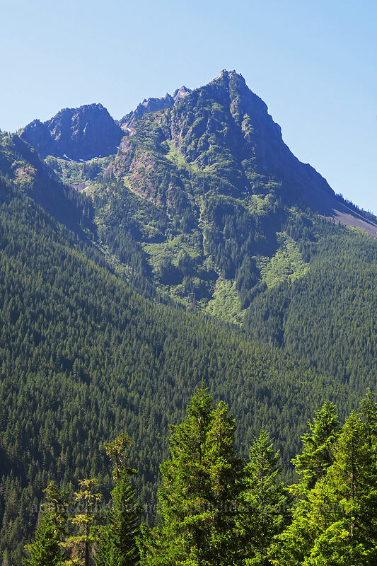 Mt. Pershing [Putvin Trail, Olympic National Forest, Mason County, Washington]