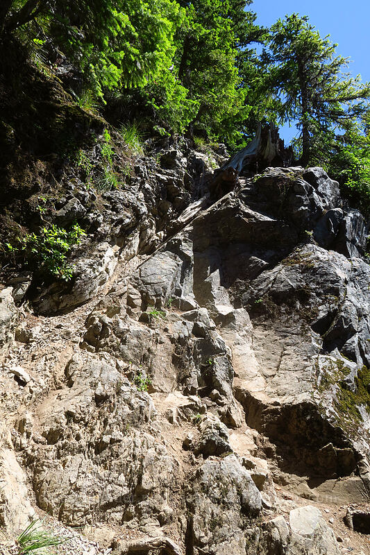 steep trail [Putvin Trail, Mount Skokomish Wilderness, Mason County, Washington]