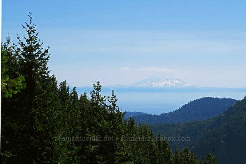 Mt. Rainier & Puget Sound [Putvin Trail, Mount Skokomish Wilderness, Mason County, Washington]