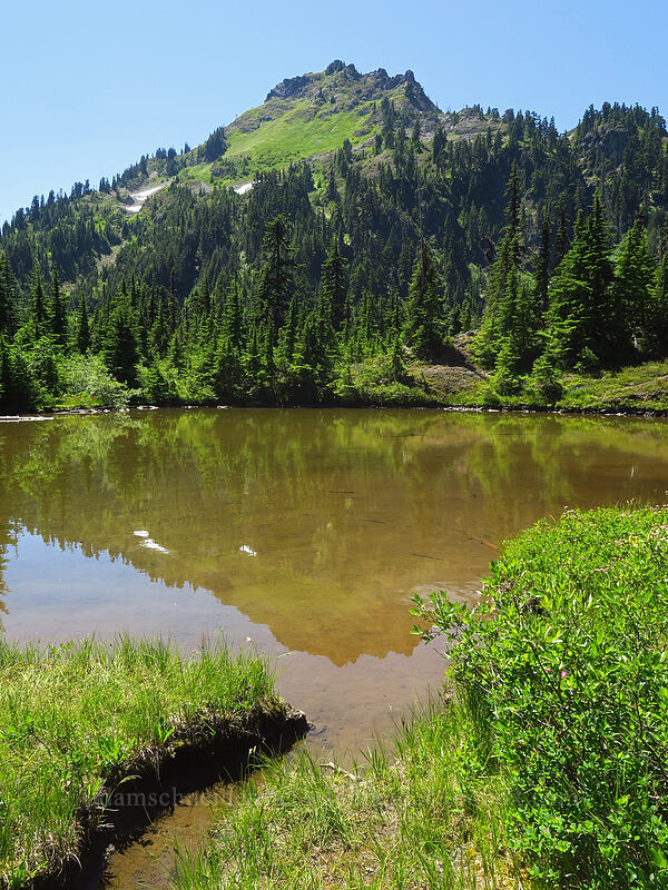 Pond of the False Prophet [Putvin Trail, Olympic National Park, Mason County, Washington]